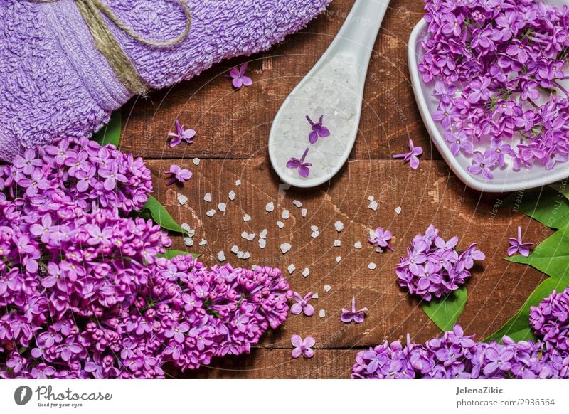Aromatherapie, Wellness und Spa mit lila Blüten Schalen & Schüsseln Lifestyle schön Körper Haut Kosmetik Behandlung Erholung Tisch Natur Blume Holz natürlich