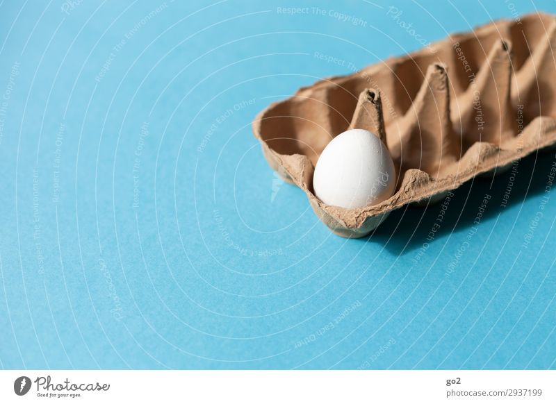 Ein Ei Lebensmittel Ernährung Frühstück Bioprodukte Vegetarische Ernährung Diät Fasten Gesunde Ernährung Ostern Verpackung bescheiden sparsam Armut 1 einfach