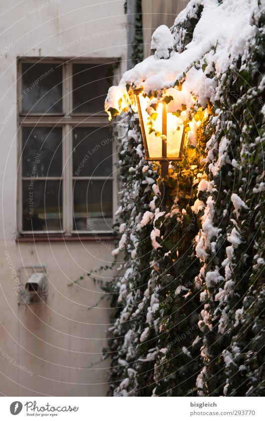 Prag II Winter Schnee Pflanze Tschechien Europa Altstadt Fenster Straßenbeleuchtung Lampe Lampenlicht leuchten kalt Wärme gelb grau Wand Farbfoto