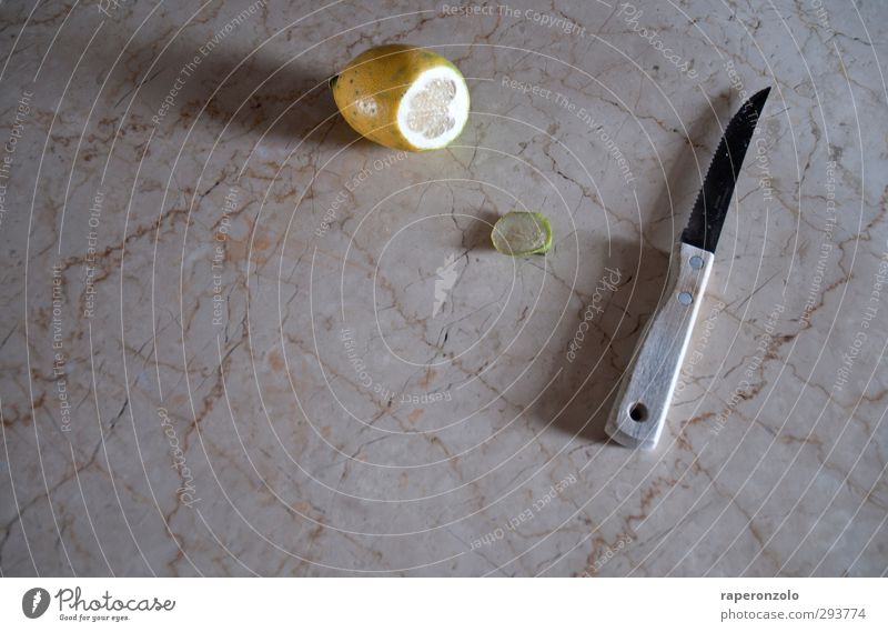Wo ist der Fisch? Lebensmittel Frucht Zitrone Zitronenscheibe Zitrusfrüchte Ernährung Bioprodukte Italienische Küche Besteck Messer Schneidebrett