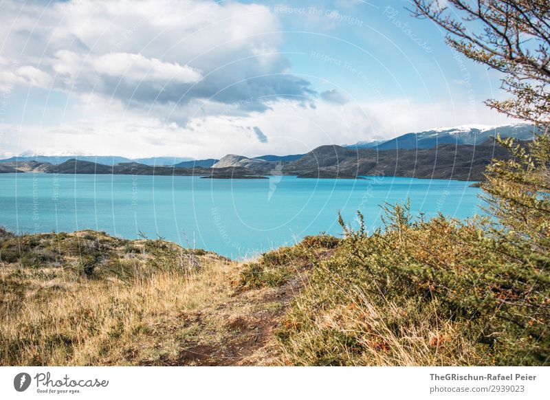 Türkis See im Torres del Paine Nationalpark Umwelt Natur Landschaft blau braun gold türkis mehrfarbig Torres del Paine NP Berge u. Gebirge Wind Wolken Wetter