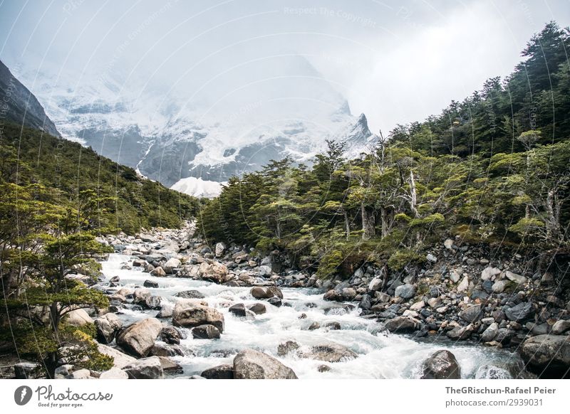 Bach im Torres del Paine NP Umwelt Natur Landschaft grau grün Stein Berge u. Gebirge Wald wandern Schnee Wolken Wasser kalt Wind Patagonien Chile Farbfoto