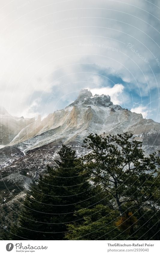 Torres del Paine - NP Umwelt Natur Landschaft blau grau grün silber weiß Torres del Paine NP Berge u. Gebirge Wald Schnee Wolken Wind Wetter unbeständig