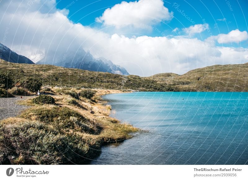 Türkis See im Torres del Paine Nationalpark Umwelt Natur Landschaft blau braun grün schwarz türkis weiß Wolken Berge u. Gebirge Torres del Paine NP Küste Wasser