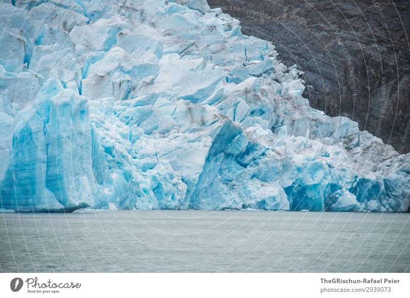 Gletscher Umwelt Natur blau weiß Perito Moreno Gletscher Eisberg Strukturen & Formen lake grey Chile schmelzen Wasser Schnee Patagonien Farbfoto Außenaufnahme