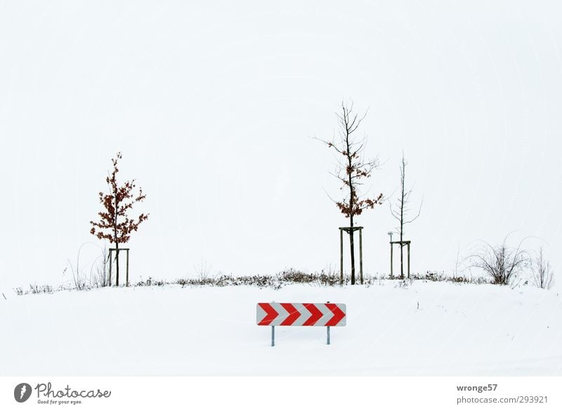 >>>> Nebel Baum Sträucher Verkehrswege Straßenverkehr Verkehrszeichen Verkehrsschild Kreisverkehr kalt braun rot weiß Kreisel Mittelinsel Winter Schnee