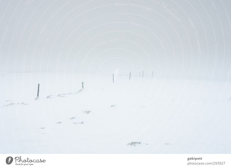 Winter adé Landschaft Horizont Wetter schlechtes Wetter Eis Frost Schnee Wiese Feld kalt trist weiß ruhig Einsamkeit Ende Irritation Wege & Pfade