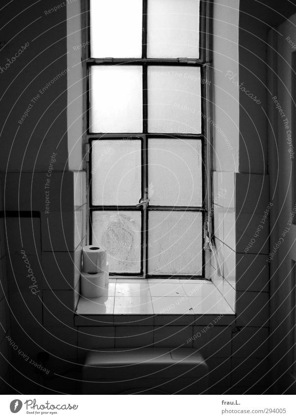 romantisches Örtchen Kultur Toilettenpapier alt dunkel Reinlichkeit Sauberkeit Ferne Fenster ruhig Schwarzweißfoto Innenaufnahme Gegenlicht