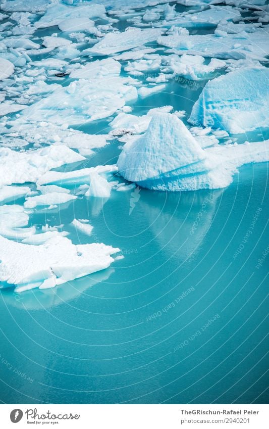 Perito Moreno Gletscher Umwelt Natur blau türkis weiß Wasser Eisberg Eisscholle Im Wasser treiben Schnee Maßeinheit Argentinien Farbfoto Menschenleer