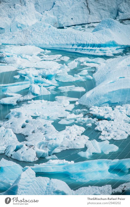 Perito Moreno Gletscher Natur Landschaft blau weiß türkis Wasser Eisscholle Schnee schmelzen Patagonien Argentinien Farbfoto Außenaufnahme Menschenleer