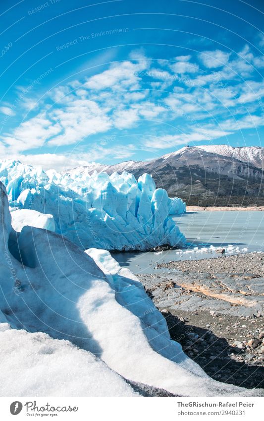 Perito Moreno Gletscher Umwelt Natur Landschaft blau weiß Küste See Eisberg Argentinien laufen entdecken Schnee Berge u. Gebirge Eisskulptur Farbfoto