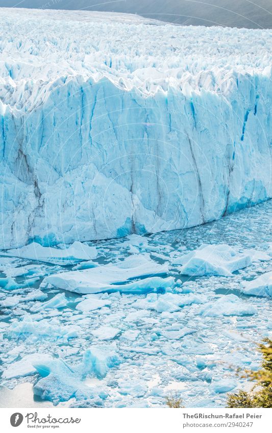 Perito Moreno Gletscher - Argentinien Natur blau weiß Eisscholle schmelzen Riss Klimawandel brechen Wasser Patagonien Farbfoto Außenaufnahme Menschenleer