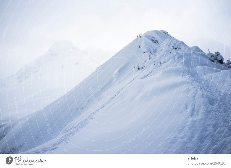 everlong Lifestyle Sport Wintersport Skier Umwelt Natur Landschaft Pflanze Urelemente Klima Wetter Nebel Eis Frost Schnee Alpen Berge u. Gebirge