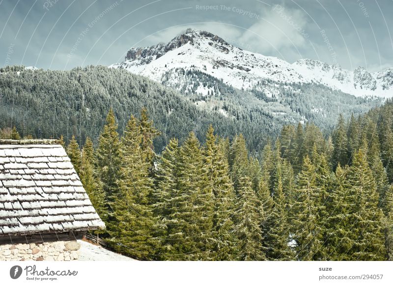 Gute Aussicht Schnee Berge u. Gebirge Häusliches Leben Haus Umwelt Natur Landschaft Pflanze Urelemente Himmel Frühling Klima Schönes Wetter Wiese Wald Alpen