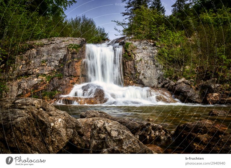 kleiner Wasserfall Zufriedenheit Erholung ruhig Ausflug wandern Natur Landschaft Frühling Sommer Schönes Wetter Pflanze Baum Sträucher Felsen Bach entdecken