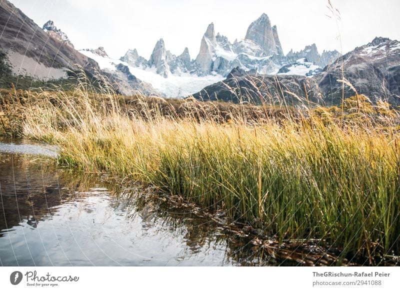 Fitz Roy Umwelt Natur Landschaft grau grün schwarz weiß Gras See Reflexion & Spiegelung Berge u. Gebirge Argentinien el chalten Südamerika Patagonien wandern