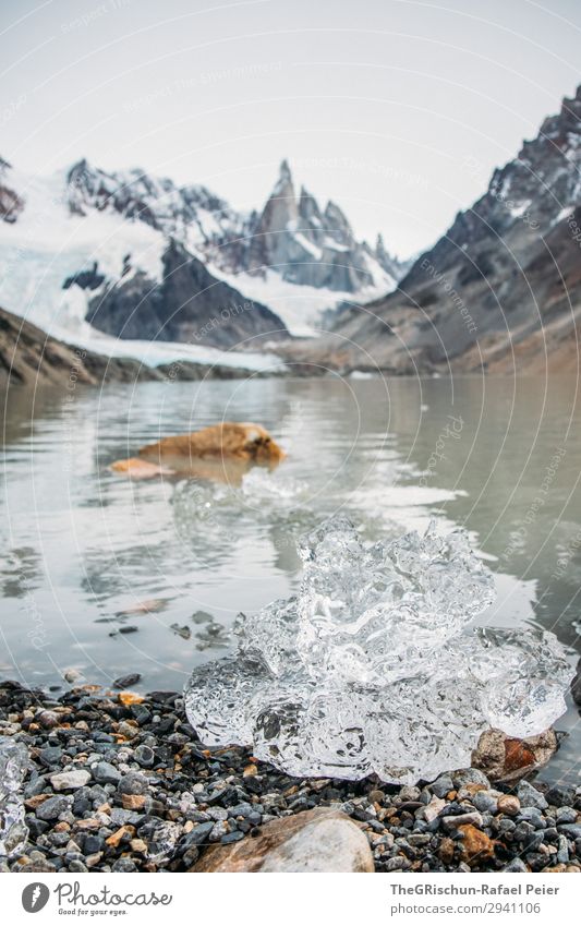 Eis Natur grau weiß Cerro Torre Wasser See Berge u. Gebirge Gletscher schmelzen Patagonien Stein Farbfoto Außenaufnahme Menschenleer Textfreiraum oben