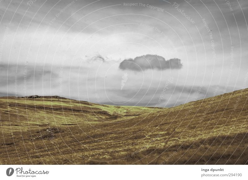 Schmuddelwetter Umwelt Natur Landschaft Himmel Wolken Gewitterwolken Herbst Klima Klimawandel schlechtes Wetter Unwetter Pflanze Hügel Berge u. Gebirge Rumänien