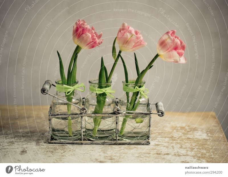 Stilleben mit Tulpen Pflanze Blume Grünpflanze Dose Schalen & Schüsseln Kasten Blumenstrauß Vase Holz Metall Duft leuchten alt Fröhlichkeit natürlich positiv