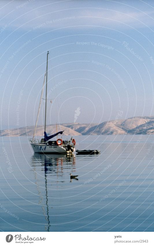 Boot mit Möwe, morgens um 7 Kroatien Wasserfahrzeug Meer ruhig Morgen