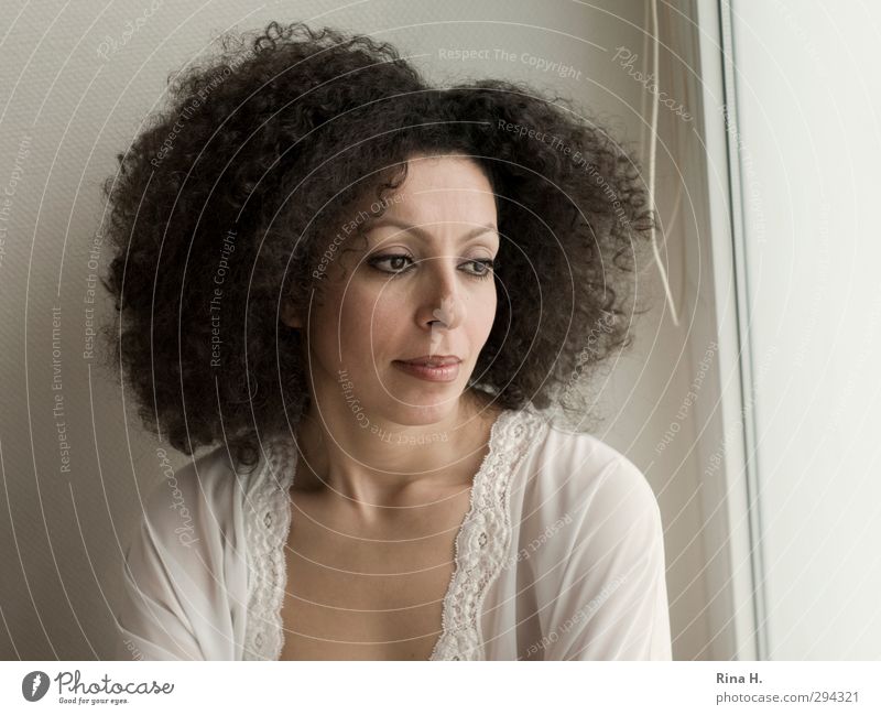 Curly Frau Erwachsene 1 Mensch 30-45 Jahre Haare & Frisuren brünett Locken Afro-Look träumen authentisch hell schön nachdenken Gedeckte Farben Innenaufnahme