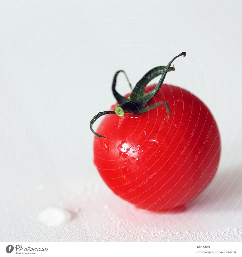 clean Lebensmittel Gemüse Tomate Ernährung Frühstück Bioprodukte Vegetarische Ernährung Diät frisch lecker rot weiß Vor hellem Hintergrund 1 Gesunde Ernährung