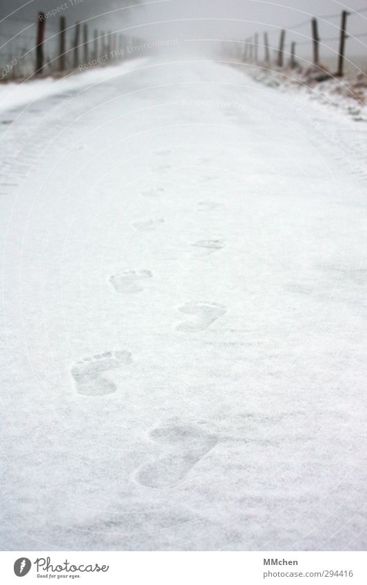 Wer wird denn gleich kalte Füße bekommen? schön Körperpflege Pediküre Gesundheit Winter Wetter Eis Frost Schnee Menschenleer Fußgänger Wege & Pfade laufen weiß