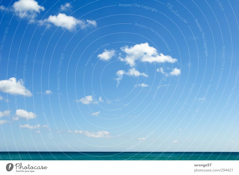 Blau mit weißen Tupfern Ferien & Urlaub & Reisen Ferne Sommer Sommerurlaub Meer Natur Luft Wasser Himmel Wolken Horizont Wetter Schönes Wetter Ostsee