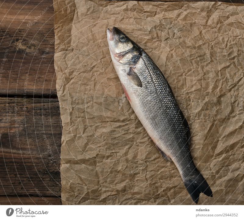 frischer ganzer Seebarschfisch Meeresfrüchte Ernährung Küche Tier Papier Holz oben braun grau Bass Fisch roh Lebensmittel Labrax Essen zubereiten Holzplatte
