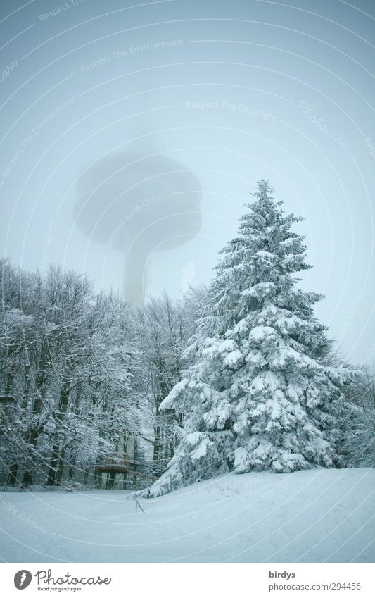 Turm im Nebel in verschneiter Schneelandschaft. Winterwald Natur Landschaft Baum Tanne außergewöhnlich gigantisch hoch blau weiß schemenhaft Vogelsberg Wald