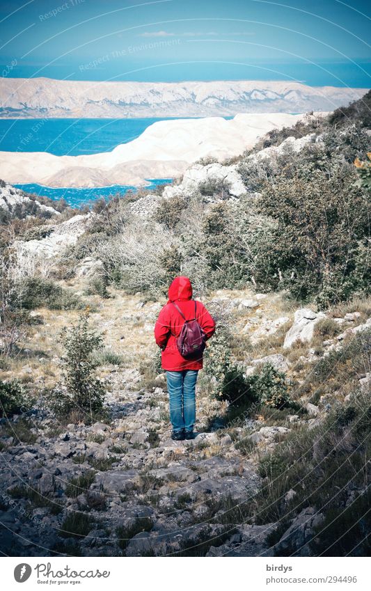 Einsam Ferien & Urlaub & Reisen feminin 1 Mensch Himmel Horizont Sommer Dürre Berge u. Gebirge Küste Meer Adria Insel Blick träumen kalt blau rot Sehnsucht