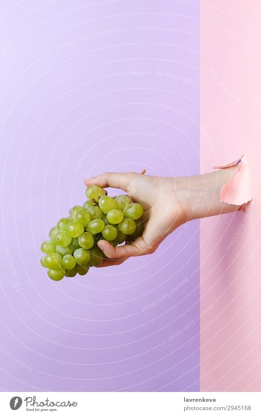 Frauenhand mit reifer grüner Traube Ackerbau lecker Diät Essen Finger Lebensmittel Gesunde Ernährung Foodfotografie frisch Frucht Hand Halt Maniküre organisch