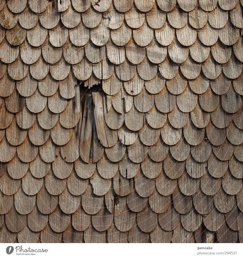 schuppenflechte Haus Fassade Holz Symmetrie Schuppen Dachziegel Holzschindel rund netzartig schuppenmuster Tradition Ordnung Oberfläche überlappen geflochten