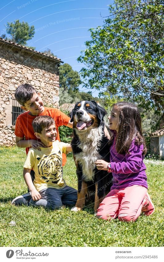 Drei kleine Kinder mit einem Berner Hund Lifestyle Freude Glück schön Leben Freizeit & Hobby Spielen Sommer Garten Mensch Kleinkind Mädchen Junge Frau