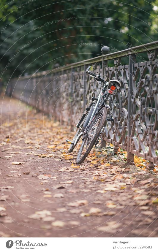 Abgestellt Freizeit & Hobby Fahrrad fahren parken Parkplatz Zaun Tourismus Ausflug Fahrradtour Landschaft Herbst Schönes Wetter Wärme Straße Blatt Herbstlaub