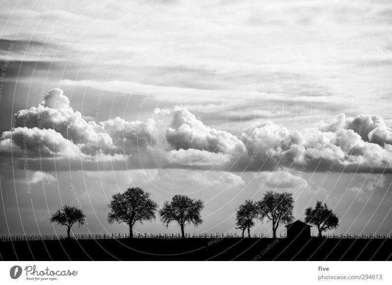 Pfalz Natur Landschaft Himmel Wolken Schönes Wetter Pflanze Baum Wiese Feld Hügel Haus Hütte Unendlichkeit Zaun Schwarzweißfoto Außenaufnahme Menschenleer Tag