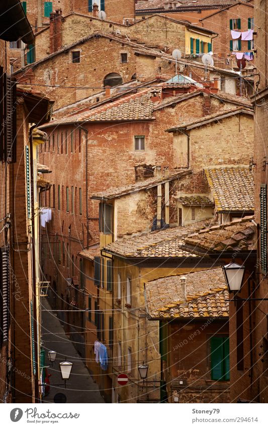 Siena Altstadt Ferien & Urlaub & Reisen Städtereise Stadt Stadtzentrum Haus Architektur Straße Gasse alt historisch braun Tradition Toskana Wäsche Italien