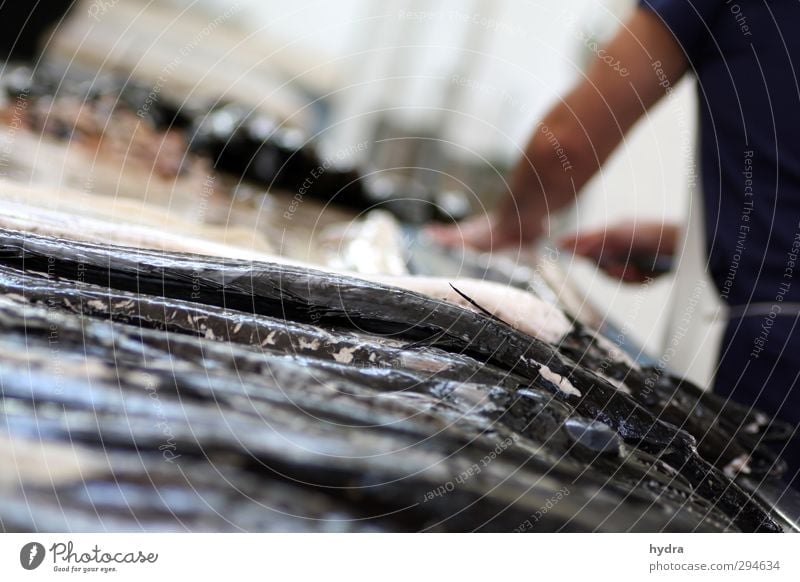 Fisch satt Degenfisch Schlangenmakrele Makrele Ernährung Slowfood Fischereiwirtschaft Fischverkäufer Fischmarkt Fischgeschäft Gastronomie maskulin