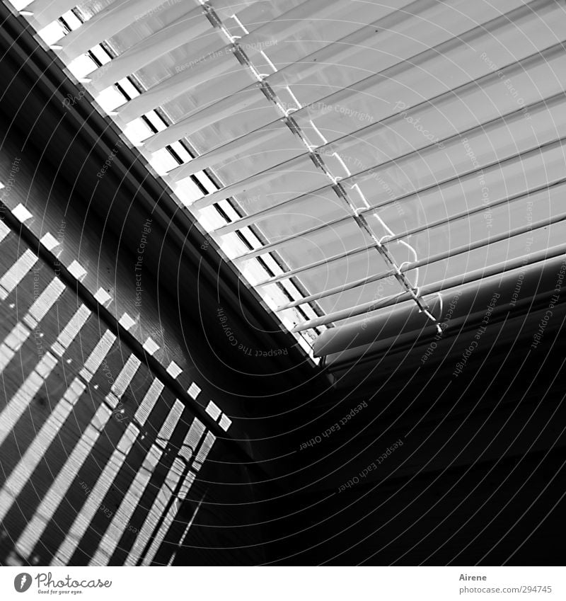 Strichcode Jalousie Dachfenster Streifen Dachschräge Schatten Sonnenlicht Scanner Informationstechnologie Fenster offener Dachstuhl eckig schwarz weiß Ordnung