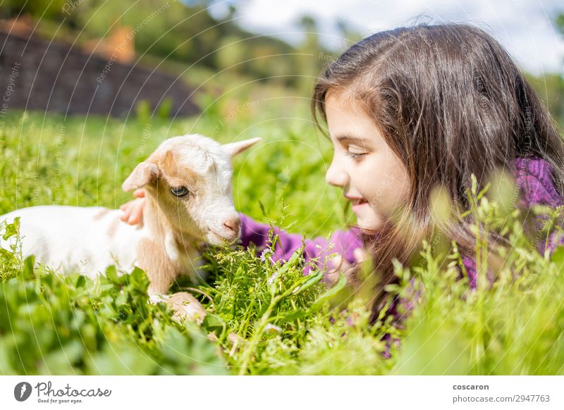 Kleines Mädchen sieht eine Ziege auf dem Gras. Lifestyle Glück schön ruhig Freizeit & Hobby Spielen Ferien & Urlaub & Reisen Sommer Sommerurlaub Garten Kind