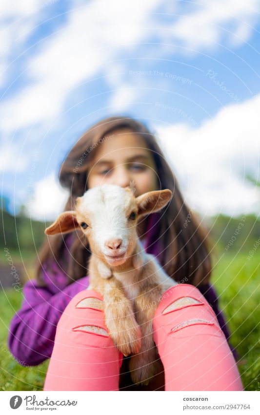 Kleines Mädchen umarmt eine Ziege auf einem Feld. Lifestyle Glück schön Freizeit & Hobby Spielen Sommer Sommerurlaub Garten Kind Mensch feminin Kleinkind Frau