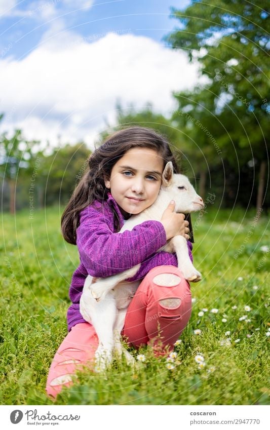 Kleines Mädchen umarmt eine Ziege auf einem Feld. Lifestyle Glück schön Freizeit & Hobby Spielen Sommer Sommerurlaub Garten Kind Mensch Baby Kleinkind Frau