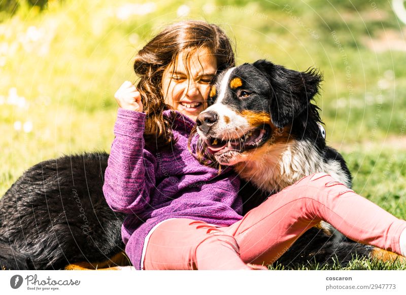 Kleines Mädchen mit einem Berner Sennenhund Lifestyle Freude Glück Leben Freizeit & Hobby Spielen Ferien & Urlaub & Reisen Sommer Berge u. Gebirge Kind Mensch