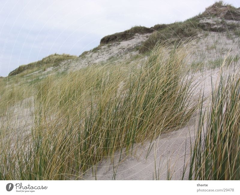 Düne Strand Gras Wolken Europa Dänemark Düne. Houvig Sand Himmel