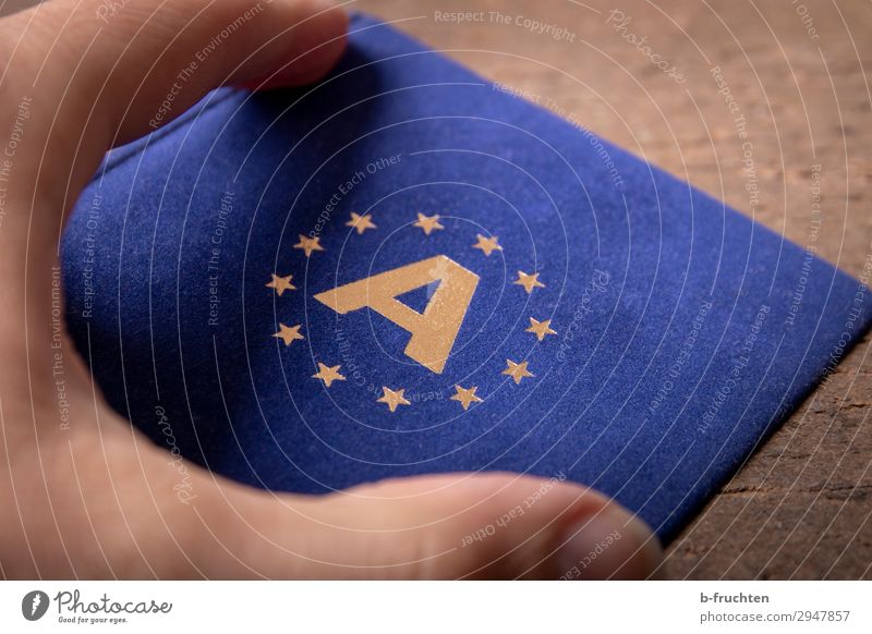 Europäisch Wirtschaft Handel Business Team Finger Zeichen wählen gebrauchen festhalten frei Zusammensein blau gold Solidarität Gesellschaft (Soziologie) Zukunft