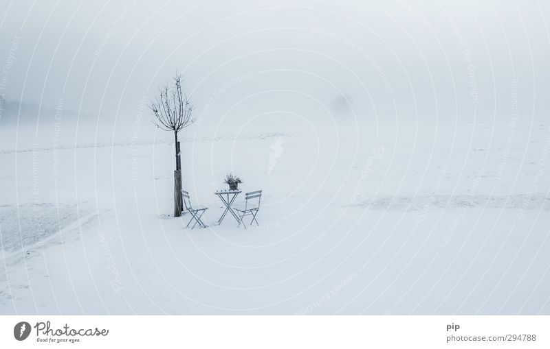 veronika, der lenz is da Umwelt Natur Landschaft Frühling Winter Klimawandel Nebel Schnee Pflanze Wiese kalt Einsamkeit Erwartung Tisch Stuhl Biertische Frost
