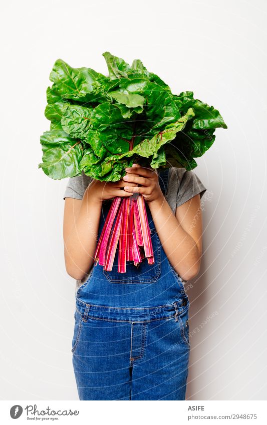 Veganes Mädchen hält einen Haufen Schweizer Cahrd. Gemüse Ernährung Vegetarische Ernährung Diät Kind Blatt frisch natürlich grün rot weiß Mangold