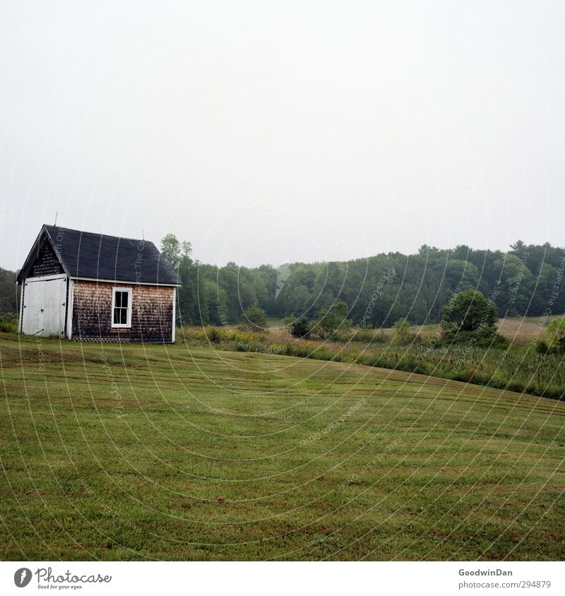 New England. Umwelt Natur Gras Garten Kleinstadt Stadtrand Menschenleer Haus Hütte Fassade alt kalt Farbfoto Außenaufnahme Tag Licht