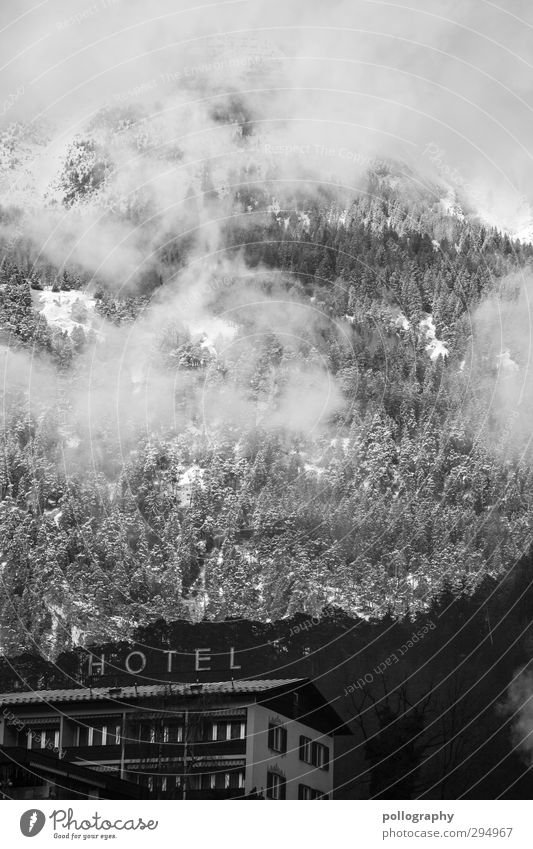 im Schutz eines Giganten Natur Landschaft Pflanze Wolken Sonne Winter Schönes Wetter Schnee Hügel Felsen Alpen Berge u. Gebirge Stadtrand Haus Hochhaus Hotel
