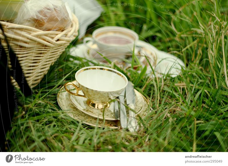 picknicken Lifestyle Freude Glück Fröhlichkeit Zufriedenheit Lebensfreude Frühlingsgefühle Geschirr Besteck Picknickkorb Korb Teetasse Wiese Gras grün